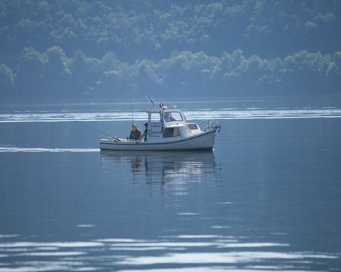 Angeln am Edersee