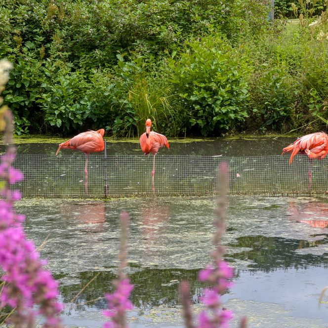 Kurpark Bad Wildungen