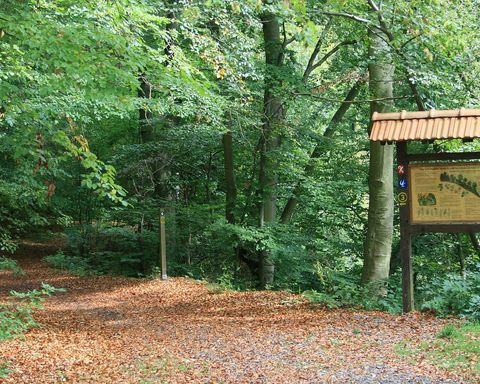 Edersee Natur