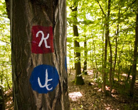 Edersee Natur