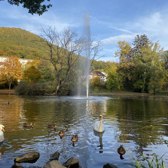 Kurpark
