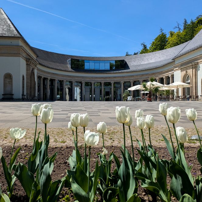 Wandelhalle Bad Wildungen