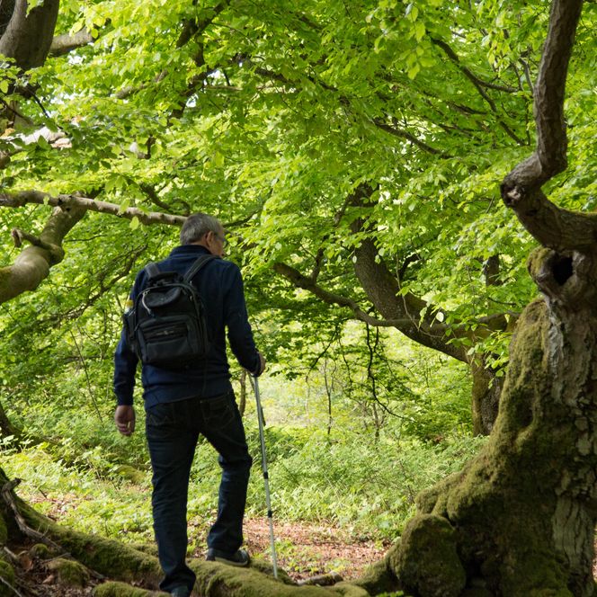 Mann im Wald