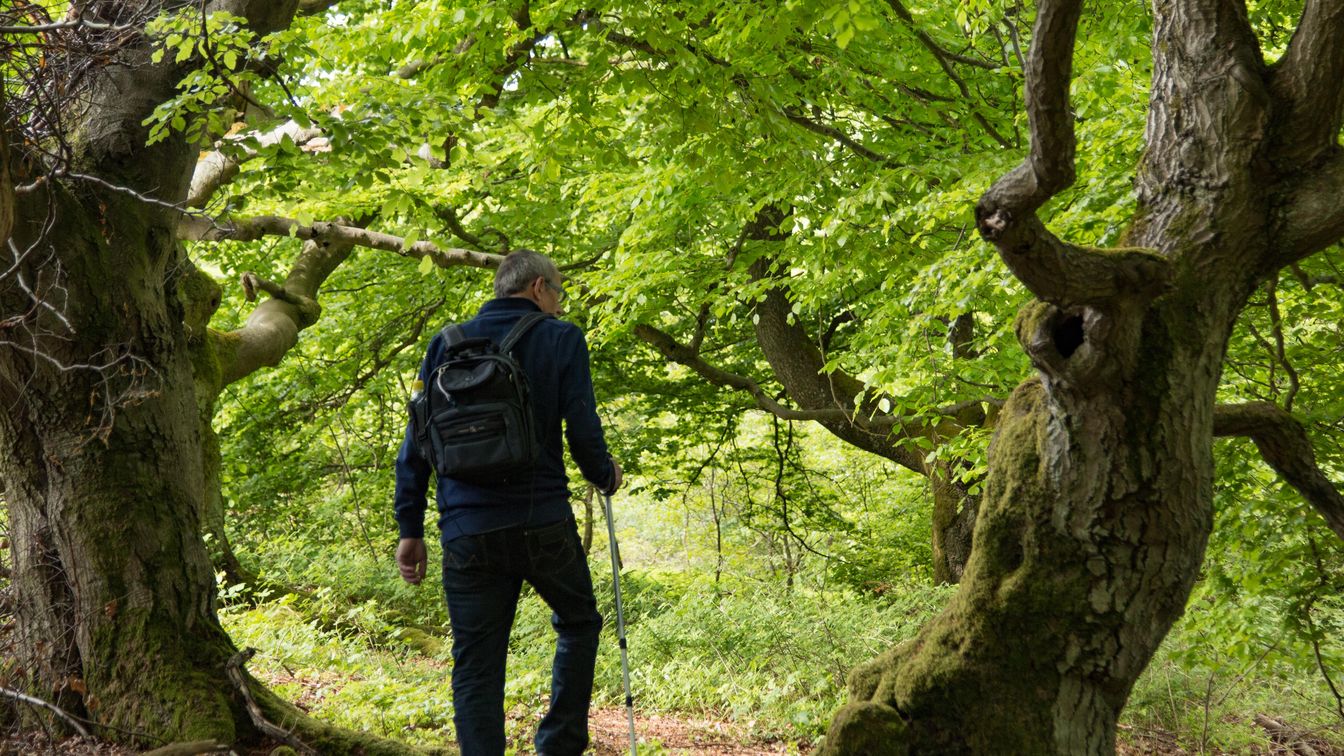 Mann im Wald