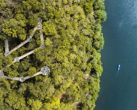 Baumkronenweg von oben mit Boot