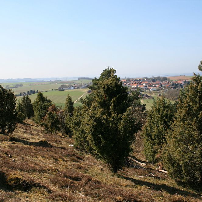 Wacholderheide