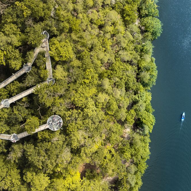 Baumkronenweg von oben mit Boot