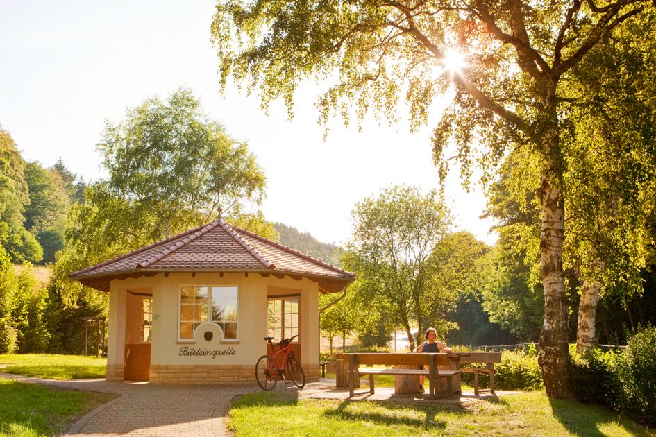 Kurpark Bad Wildungen