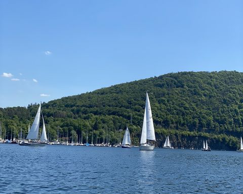Seegelboote