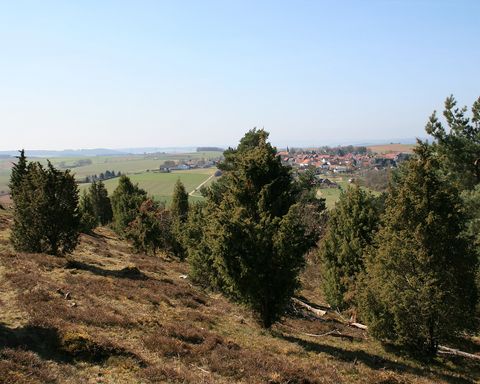 Edersee Natur