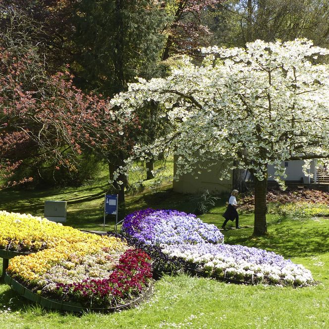 Kurpark Bad Wildungen