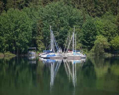 Seegelboote