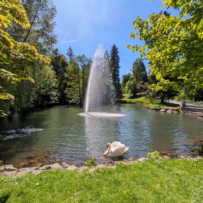 Kurpark Bad Wildungen